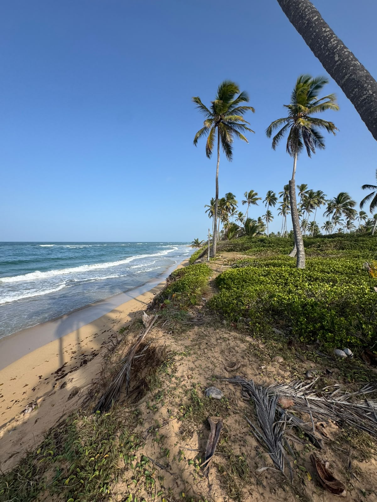 espectacular terreno en primera línea de playa en la vacama de nisibón higüey - Foto 2