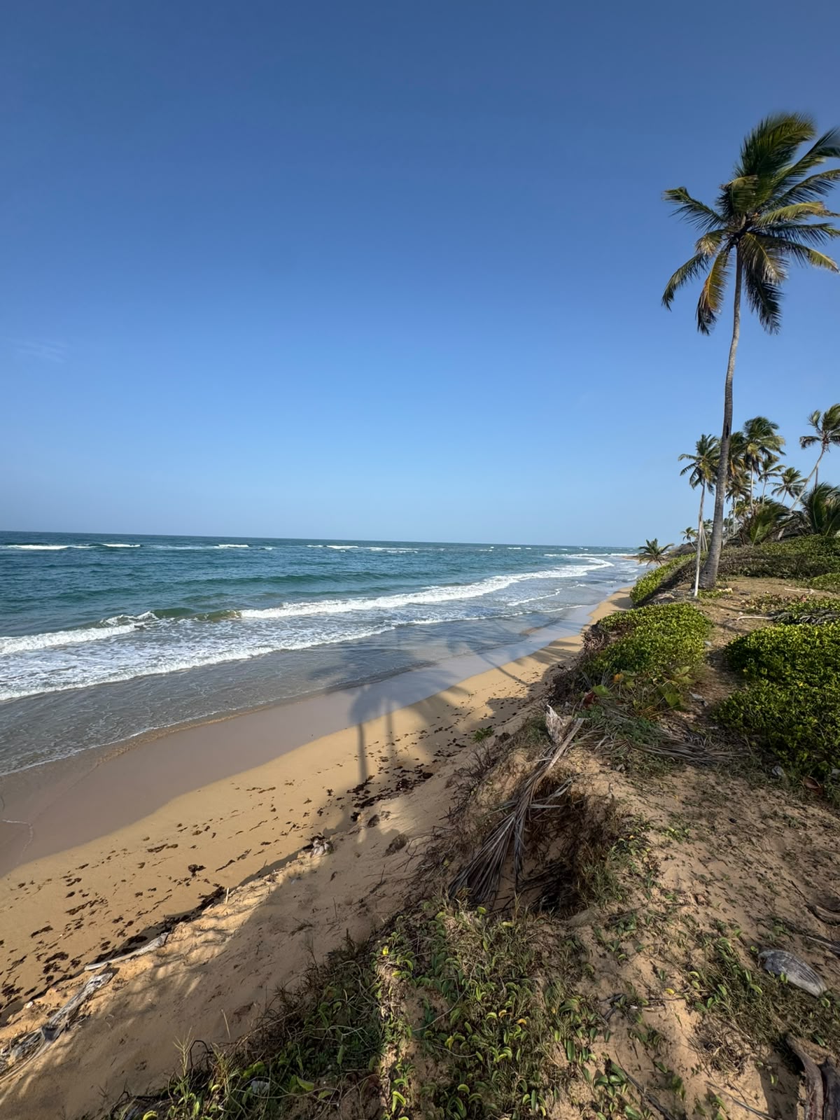 espectacular terreno en primera línea de playa en la vacama de nisibón higüey - Foto 3