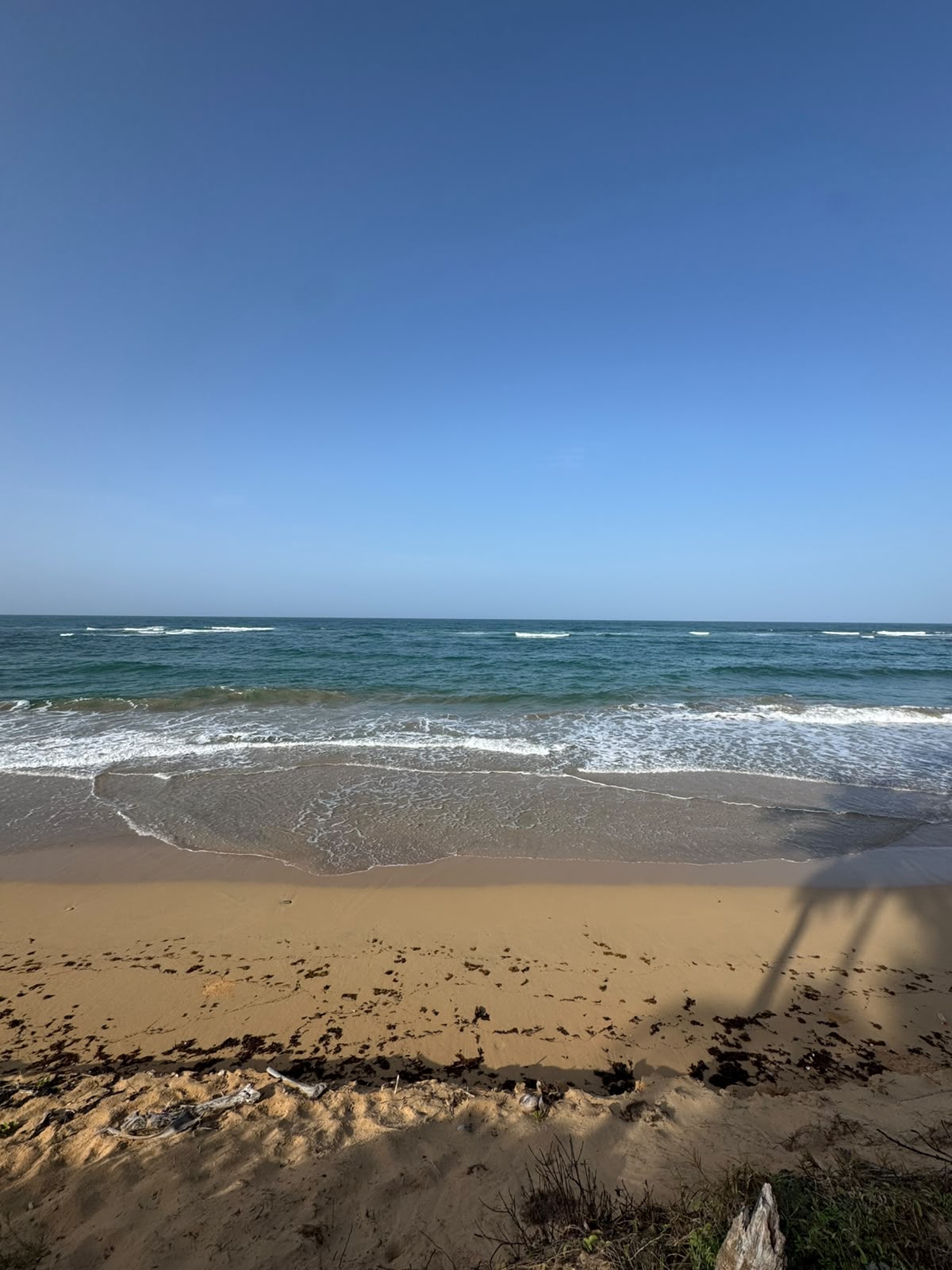 espectacular terreno en primera línea de playa en la vacama de nisibón higüey - Foto 5