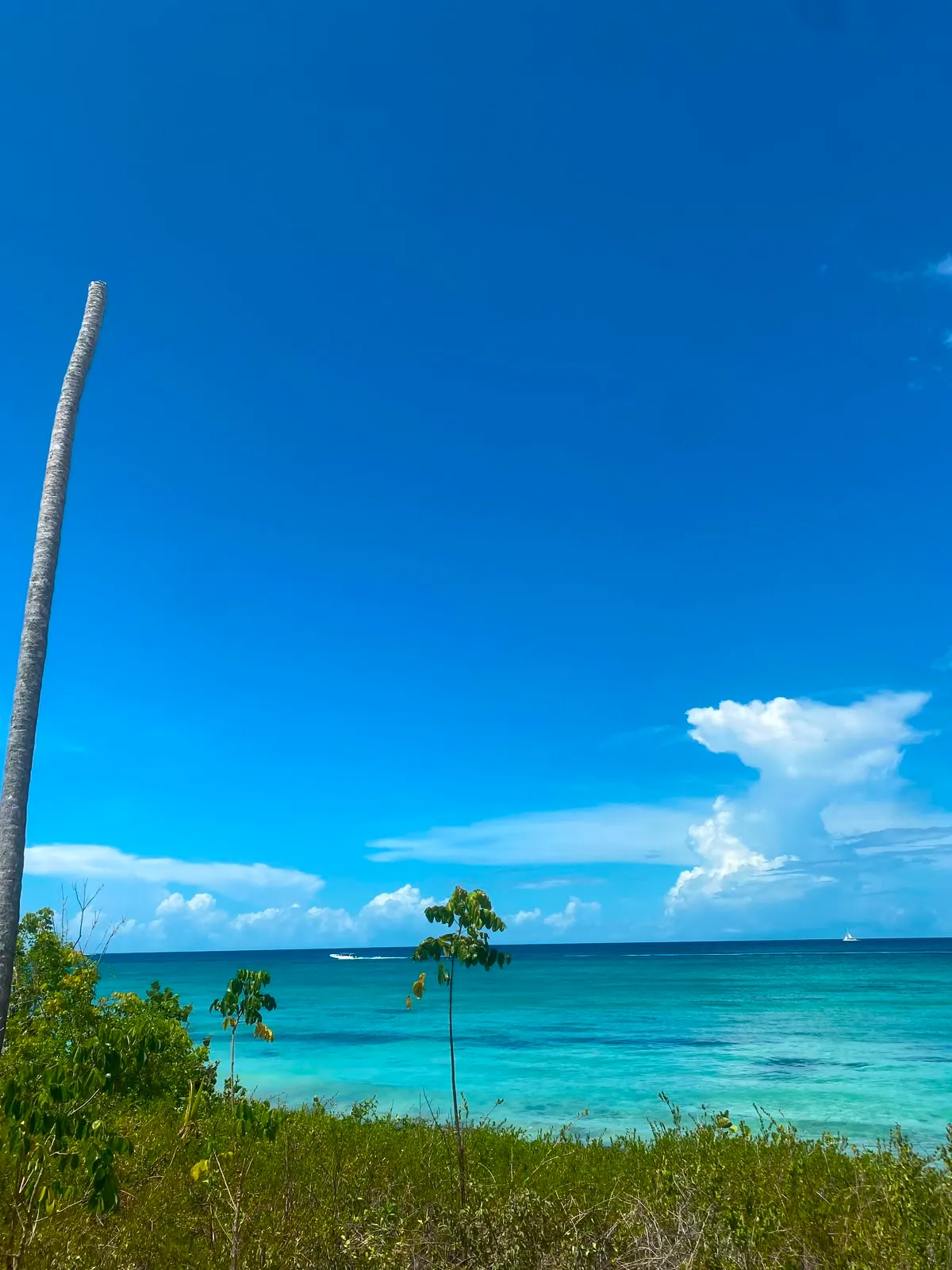 espectacular terreno para desarrollo diversos bayahibe - Foto 2