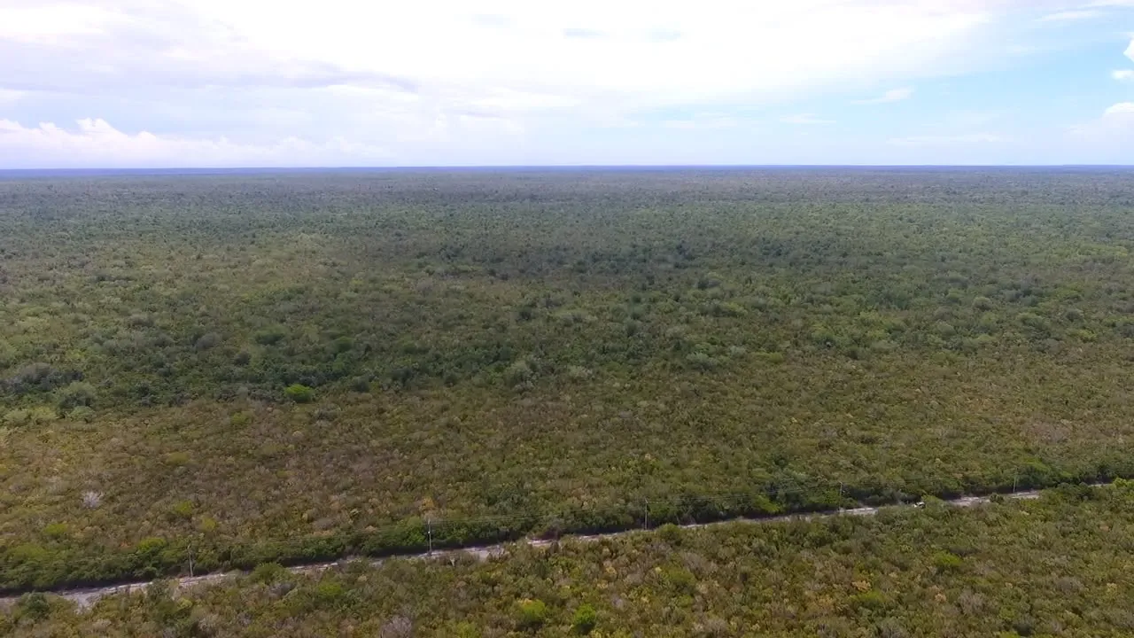 espectacular terreno para desarrollo diversos bayahibe - Foto 3