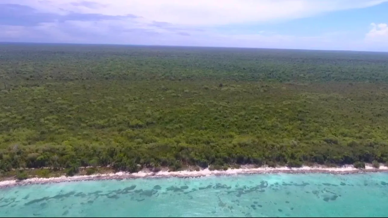 espectacular terreno para desarrollo diversos bayahibe - Foto 4