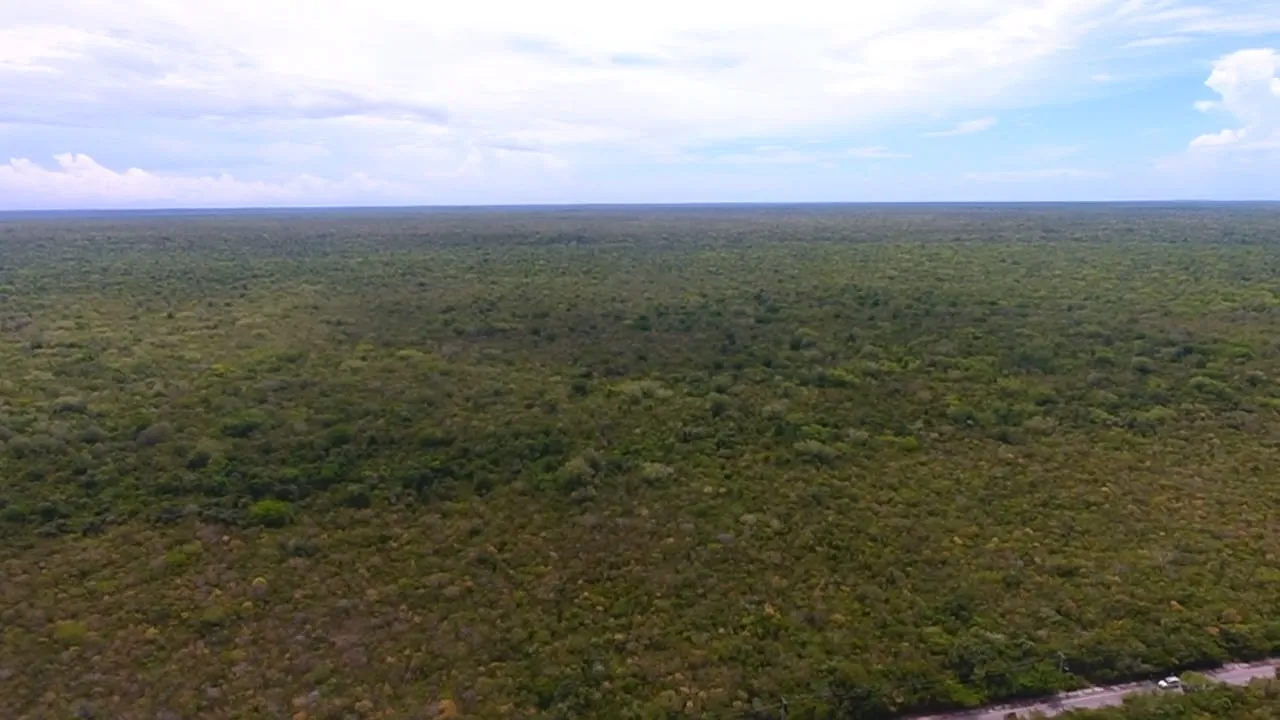 espectacular terreno para desarrollo diversos bayahibe - Foto 5