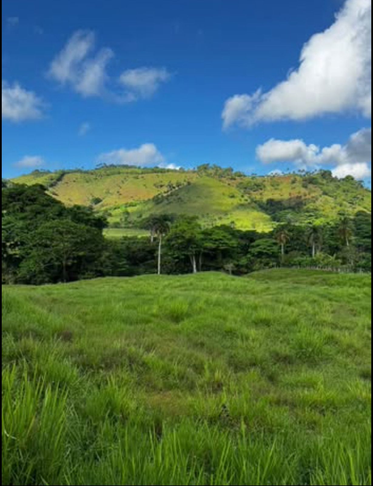 se vende hermosa finca en anamuya higüey - Foto 5