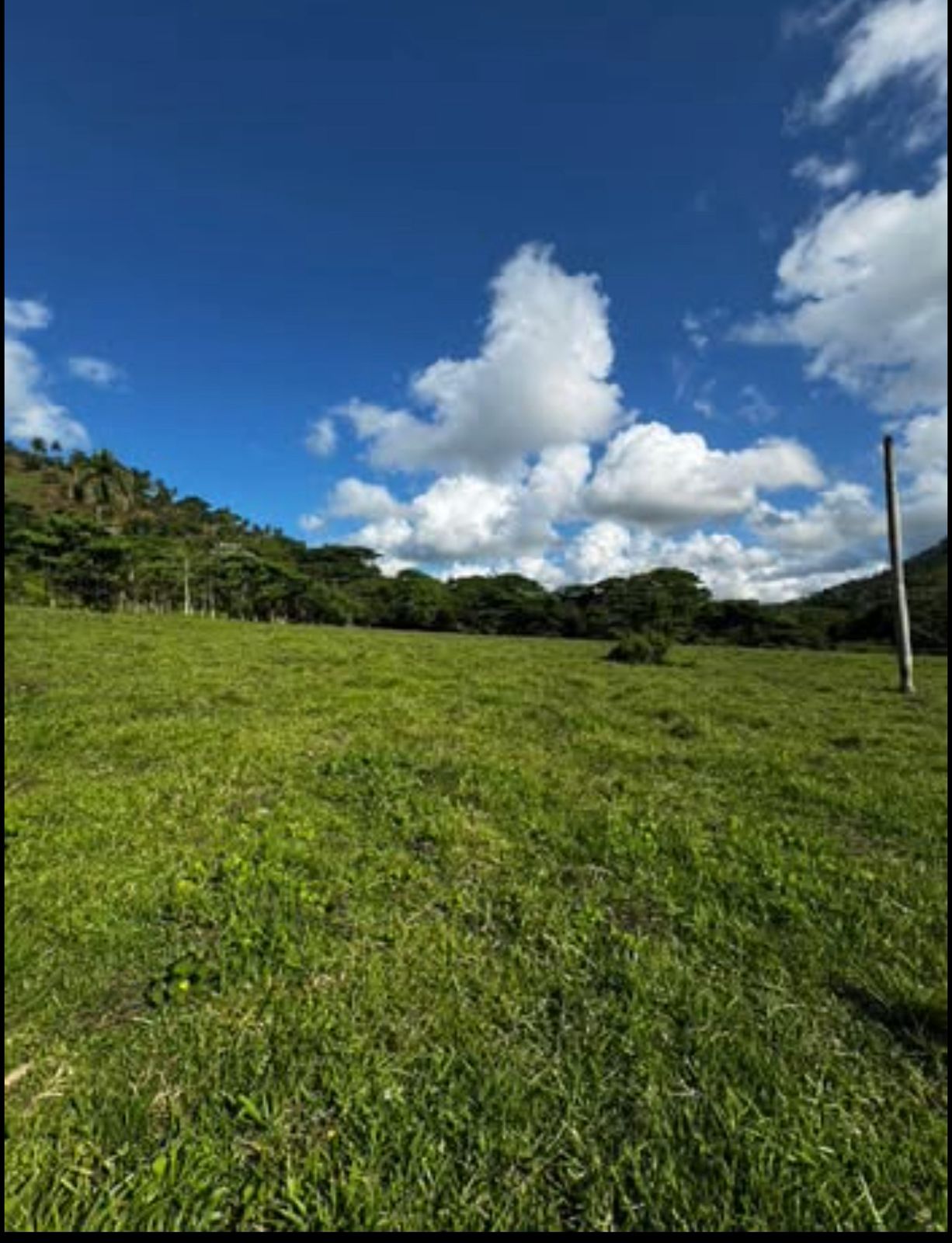 se vende hermosa finca en anamuya higüey - Foto 4