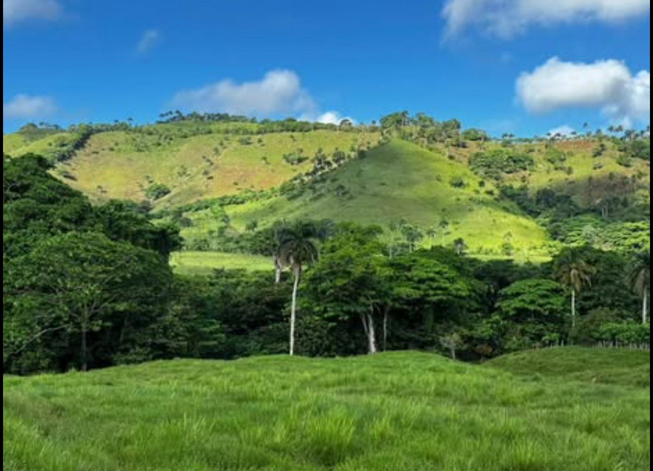 se vende hermosa finca en anamuya higüey - Foto 2