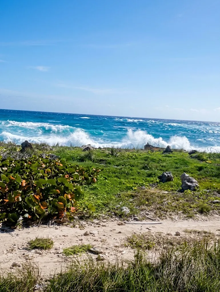 terreno frente al mar cabo engaño punta cana - Foto 4
