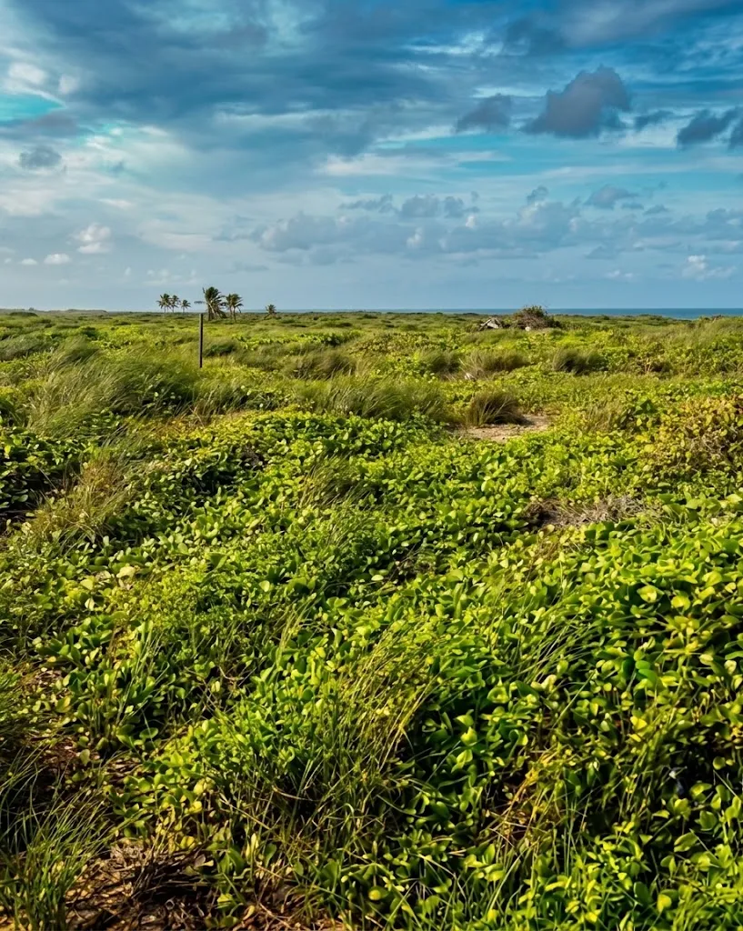 terreno frente al mar cabo engaño punta cana - Foto 5